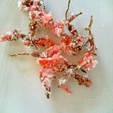 桜の塩漬け